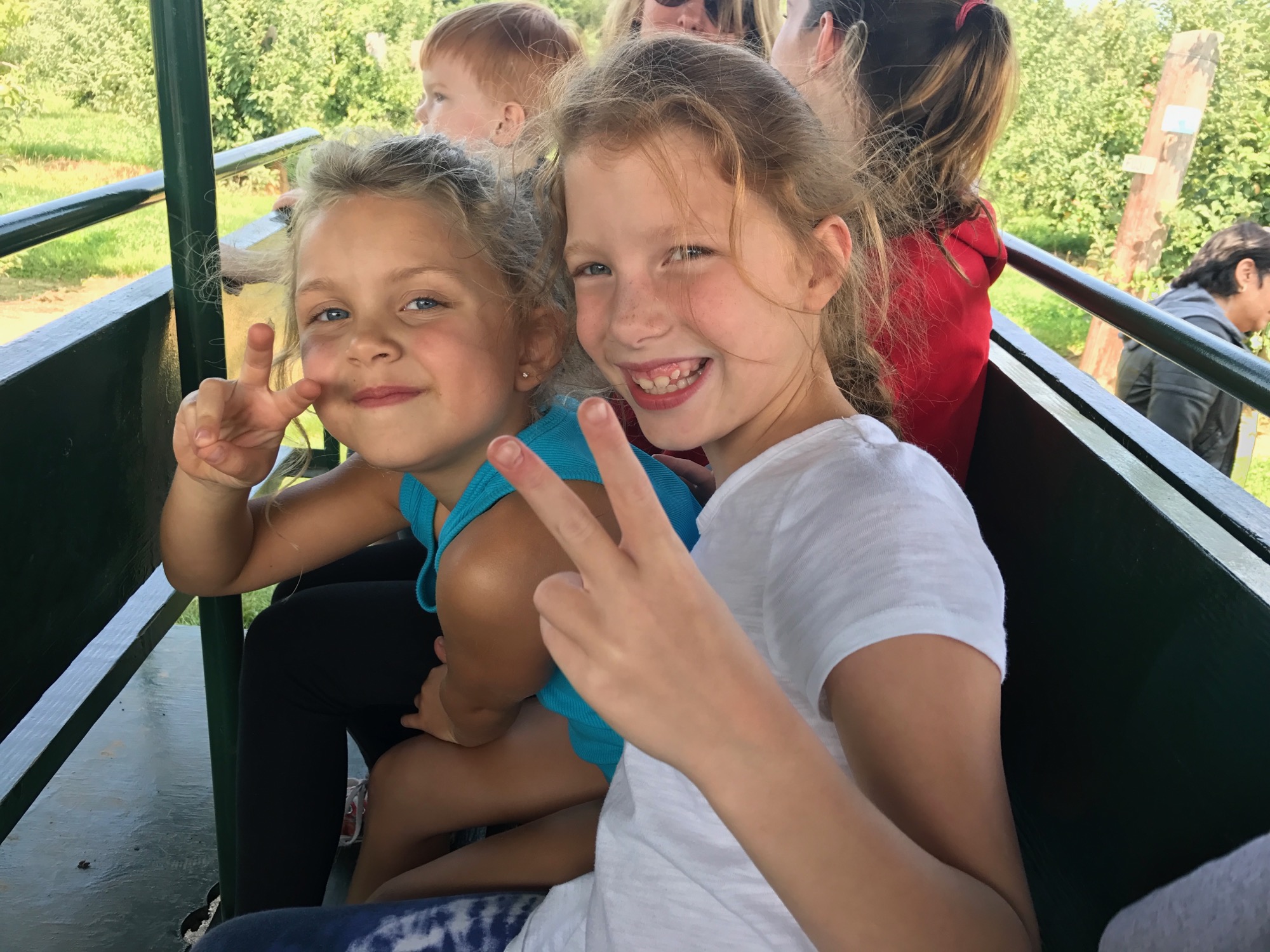 2017-09-10-apple-picking-02 photo