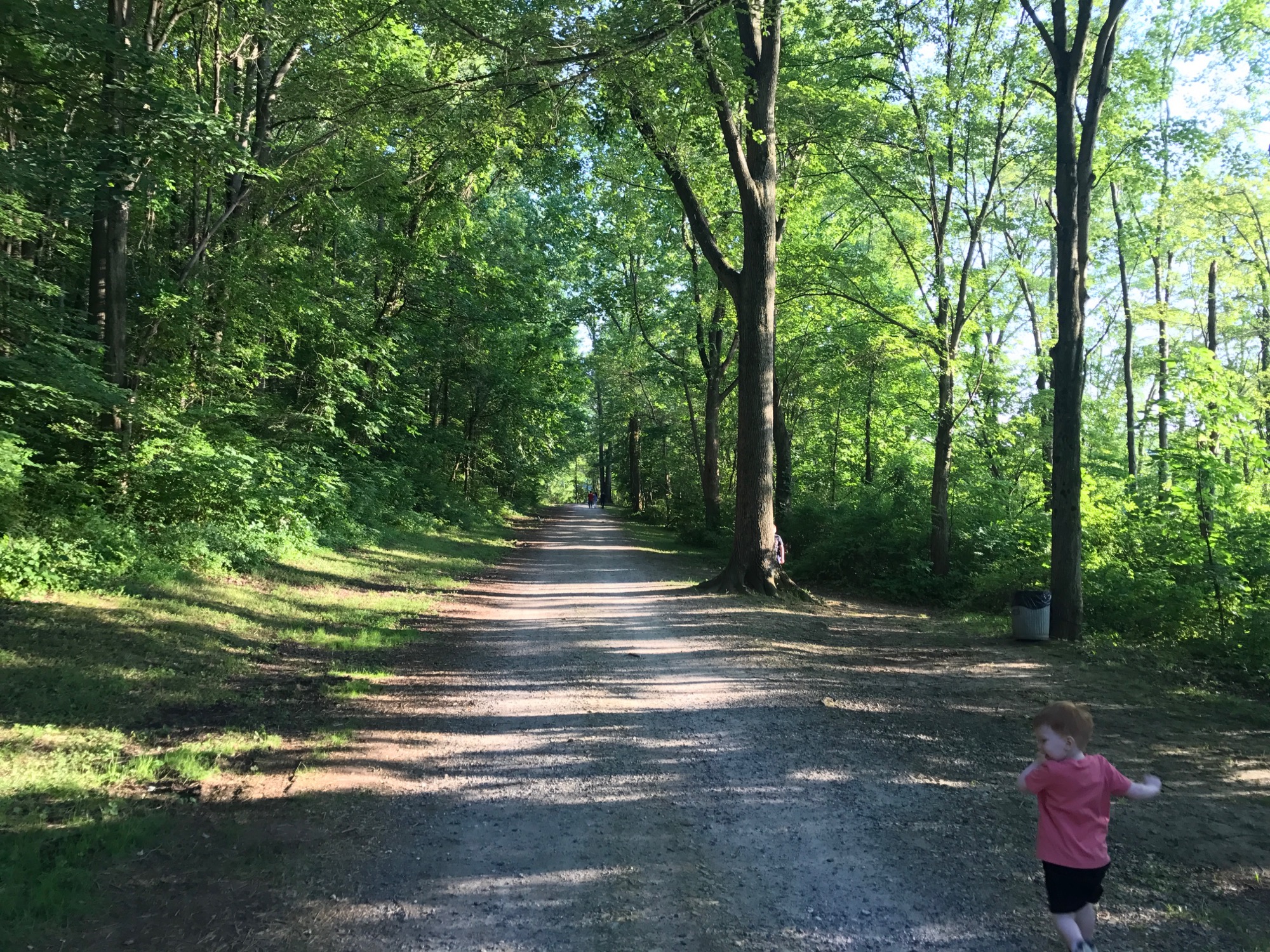 2017-07-16-marsh-creek-01 photo