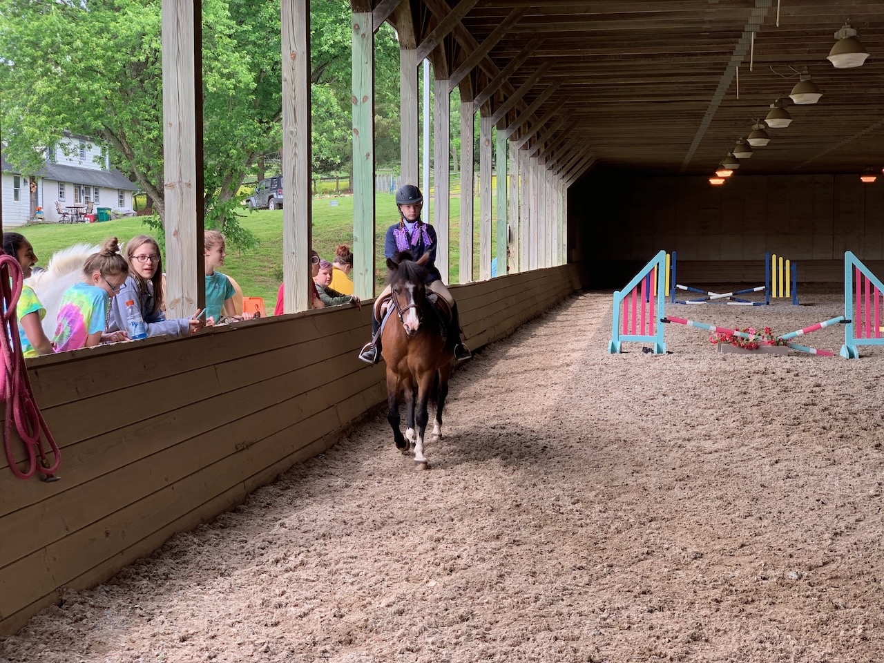 meg-horse-competition-03 photo