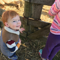 Pumpkin Picking 2016