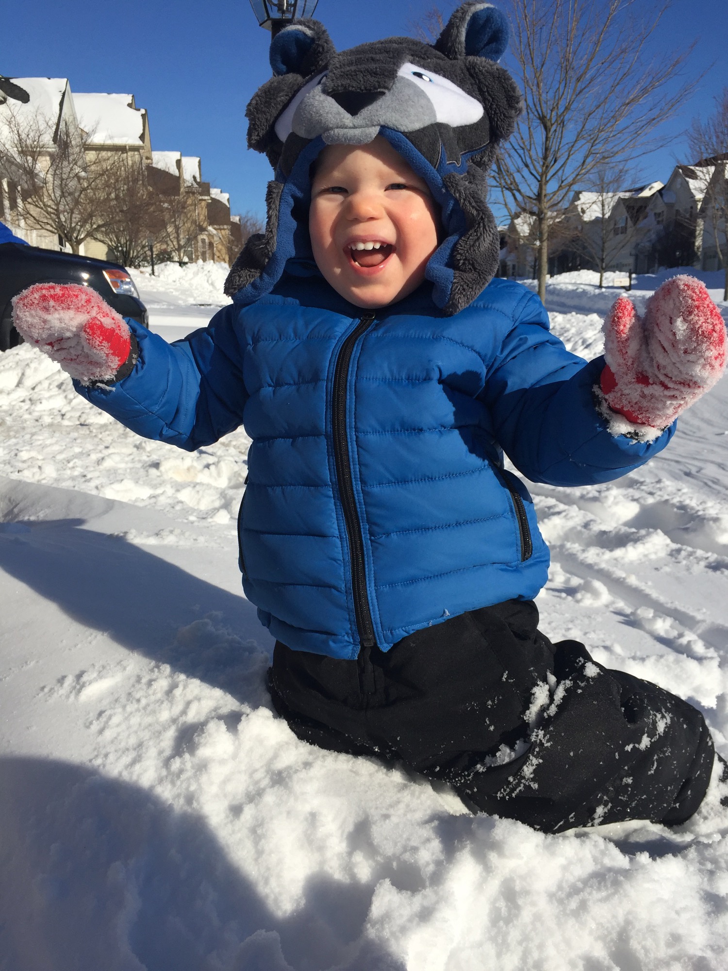 01-23-2016-snowed-in-6 photo