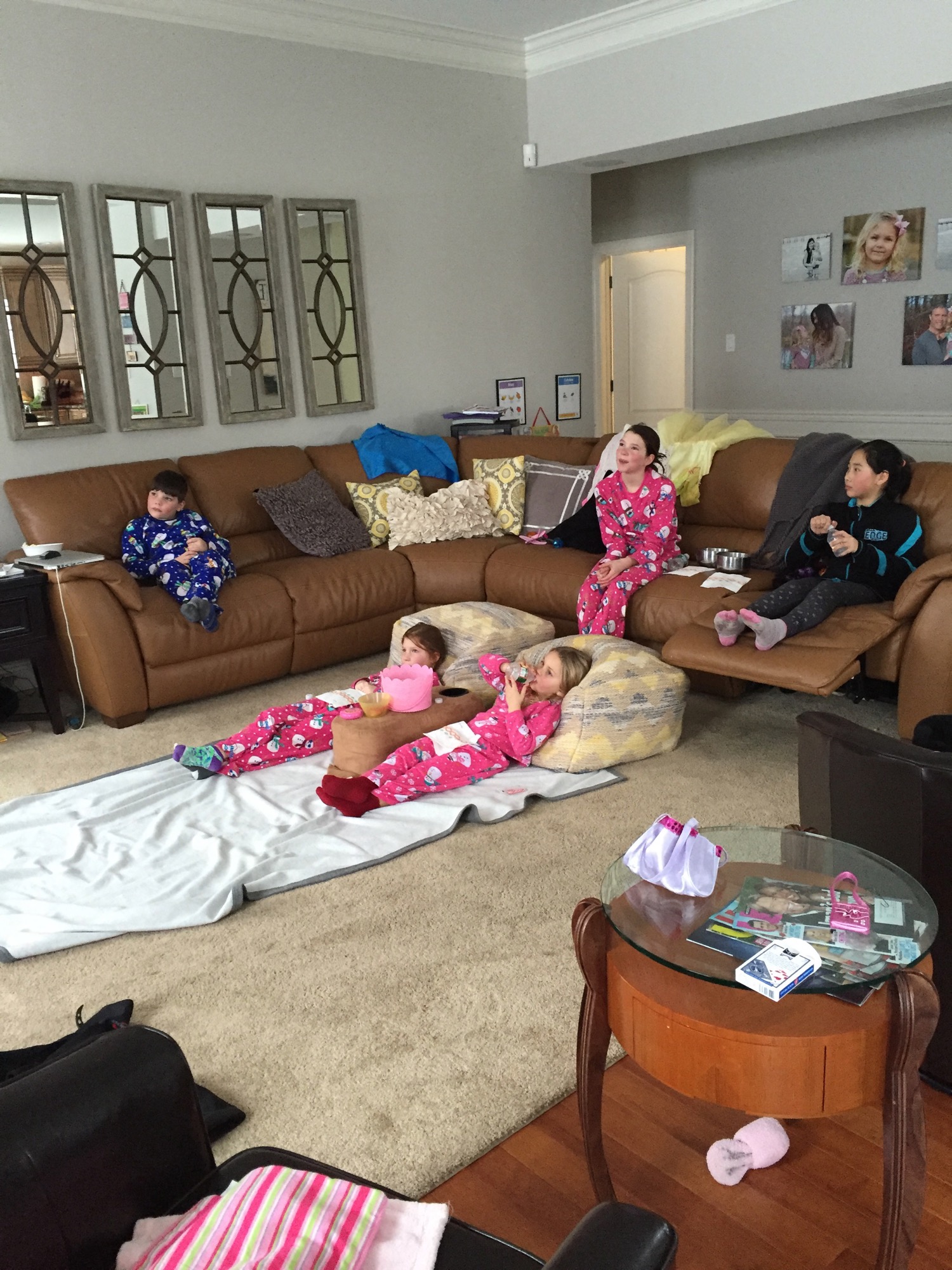 01-23-2016-snowed-in-5 photo