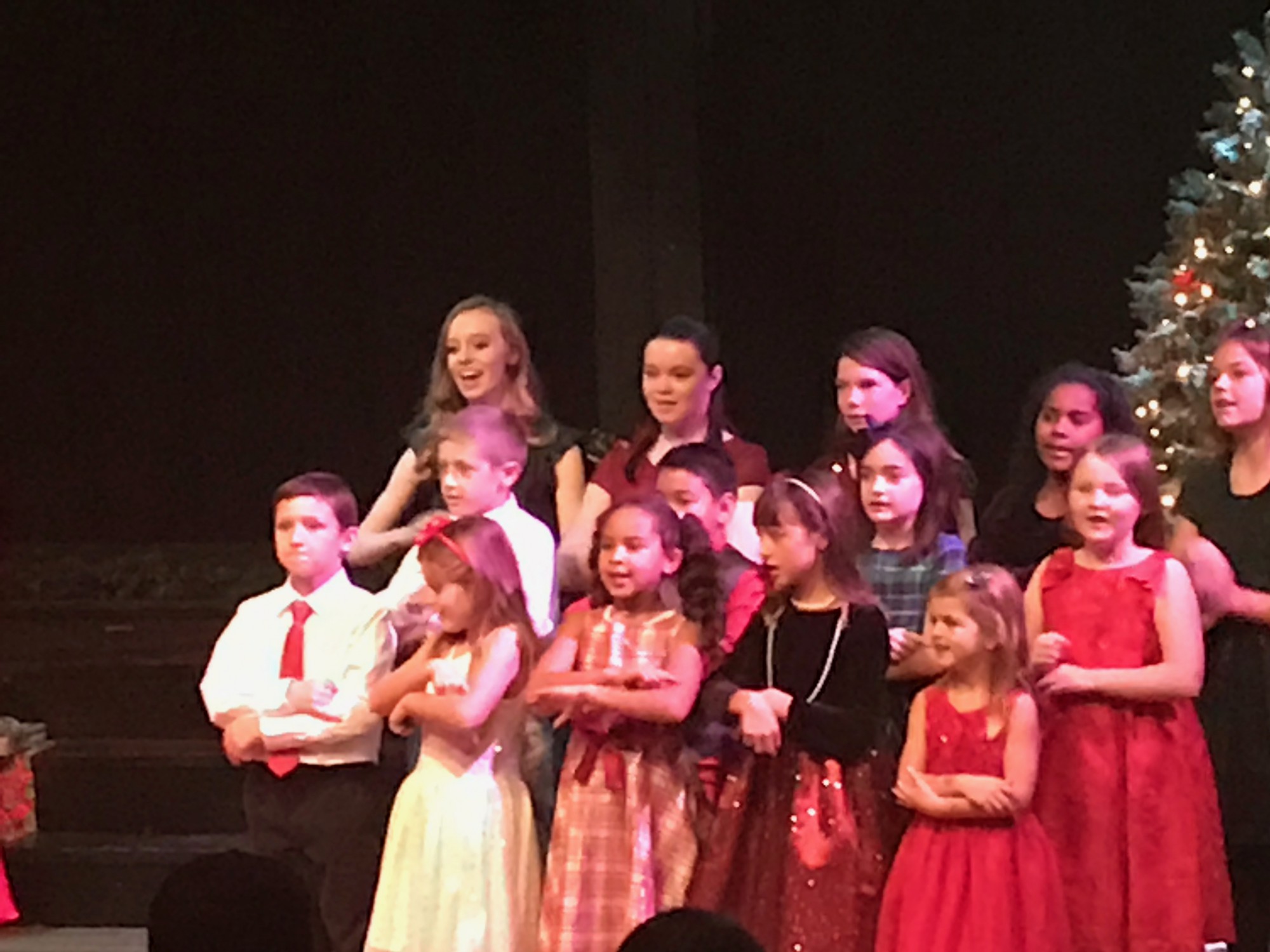 12-10-2016-maddie-xmas-salt-2 photo